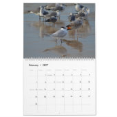 Tropischer Kalender 2025, Vögel im Paradies (Feb 2027)