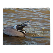 Tropischer Kalender 2025, Vögel im Paradies