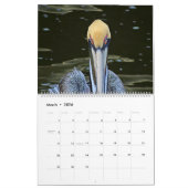 Tropischer Kalender 2025, Vögel im Paradies (Mär 2026)