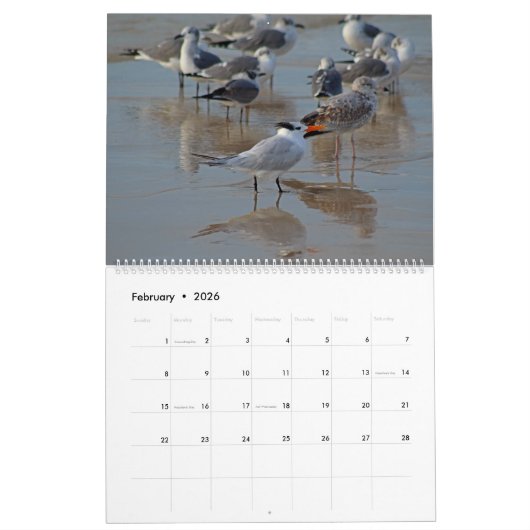 Tropischer Kalender 2025, Vögel im Paradies (Feb 2026)