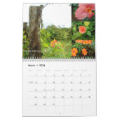 Tropischer Kalender Costa Ricas 2010 - 2011 (Mär 2026)