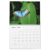 Tropischer Kalender Costa Ricas 2010 - 2011 (Feb 2027)