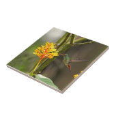Tropischer Kolibri und Blume Fliese (Seite)