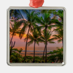 Tropischer Nationalpark des Strand-  Corcovado Ornament Aus Metall