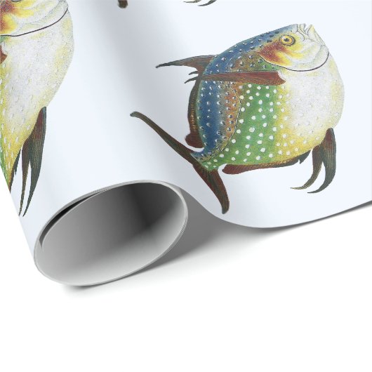 Tropischer Ohnenfisch, Vintages Meerwassertier Geschenkpapier (Rolleneckpunkt)