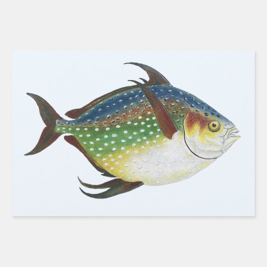 Tropischer Ohnenfisch, Vintages Meerwassertier Geschenkpapier Set (Vorderseite 2)