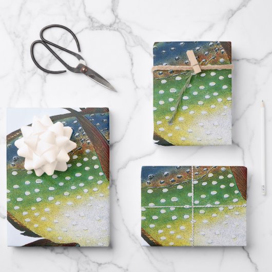 Tropischer Ohnenfisch, Vintages Meerwassertier Geschenkpapier Set (Vorderseite)