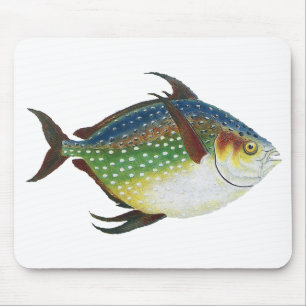 Tropischer Ohnenfisch, Vintages Meerwassertier Mousepad