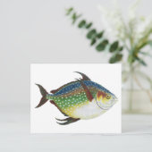 Tropischer Ohnenfisch, Vintages Meerwassertier Postkarte (Stehend Vorderseite)