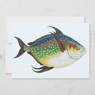 Tropischer Opah-Fisch, Vintage-Meeres-Aquarien-Tie