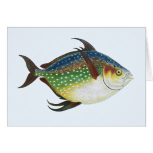 Tropischer Opah-Fisch, Vintage-Meeres-Aquarien-Tie