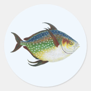 Tropischer Opah-Fisch, Vintage-Meeres-Aquarien-Tie Runder Aufkleber