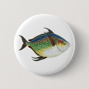 Tropischer Opah-Fisch, Vintage Meeresaquarien-Tier Button