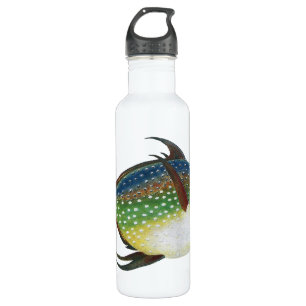 Tropischer Opah-Fisch, Vintage-Meeresaquarien-Tier Trinkflasche