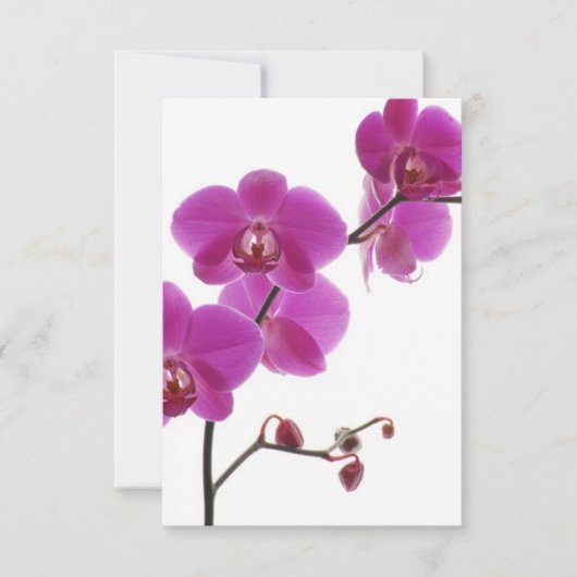Tropischer Orchid-Einladungs-Antwortkarte RSVP Karte (Vorderseite)