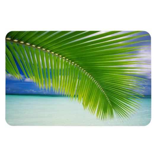 Tropischer Ozean Magnet (Horizontal)