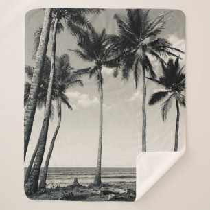 TROPISCHER PALMBAUM AM STRAND SHERPADECKE