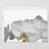 Tropischer Palmenbaum mit Orchideen Einladung (Rückseite)