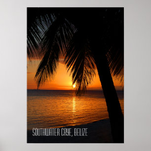 Tropischer Palmenbaum-Sonnenuntergang in Belize Poster