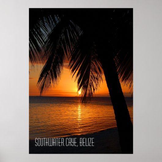 Tropischer Palmenbaum-Sonnenuntergang in Belize Poster (Vorne)