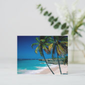 Tropischer Palmenstrand Postkarte (Stehend Vorderseite)