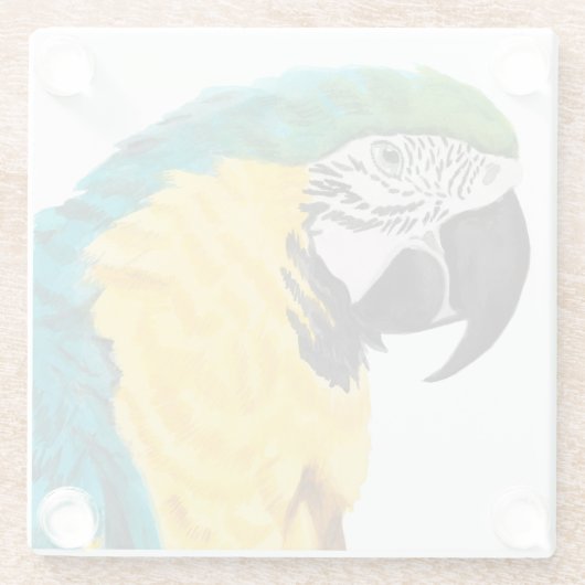 Tropischer Papagei Glasuntersetzer (Rückseite)