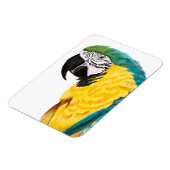 Tropischer Papagei Magnet (Linke Seite)