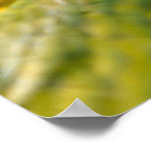 Tropischer Papagei Poster (Ecke)