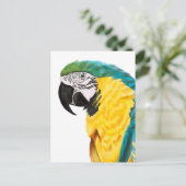 Tropischer Papagei Postkarte (Stehend Vorderseite)