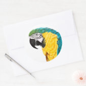 Tropischer Papagei Runder Aufkleber (Umschlag)