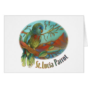 Tropischer Papagei von St Lucia