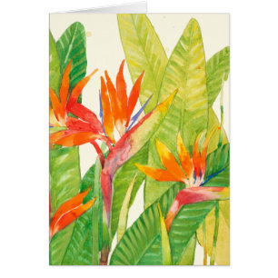 Tropischer Paradiesvogel der Blumen-