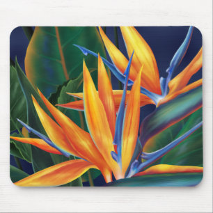 Tropischer Paradiesvogel Mousepad