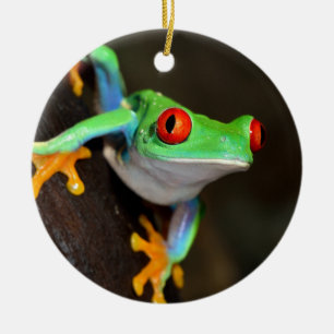 Tropischer Red Eye-Frosch - Agalychnis Callidryas Keramikornament