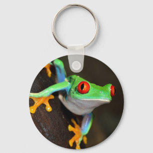 Tropischer Red Eye-Frosch - Agalychnis Callidryas Schlüsselanhänger