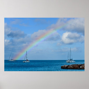 Tropischer Regenbogen Poster
