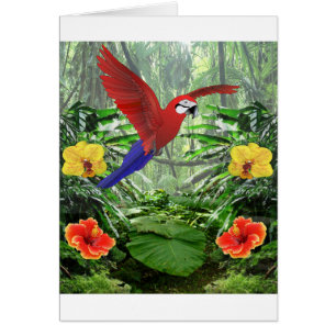 Tropischer Regenwald