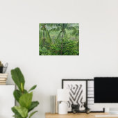 Tropischer Regenwald 2 Poster (Heimbüro)