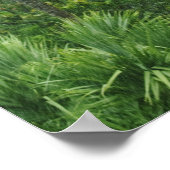 Tropischer Regenwald Poster (Ecke)