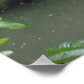 Tropischer Regenwald Poster (Ecke)