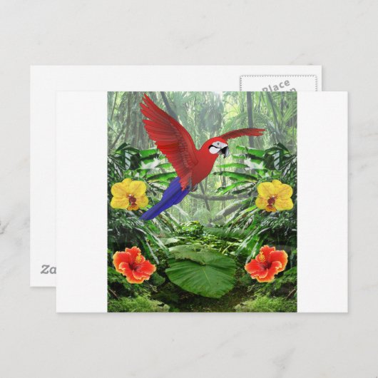 Tropischer Regenwald Postkarte (Vorne/Hinten)