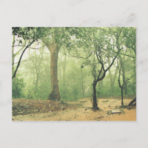 Tropischer Regenwald Westghats Indien Postkarte