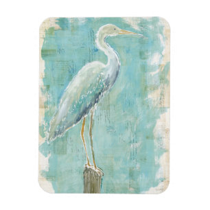 Tropischer Reiher der Vogel-  noch Magnet