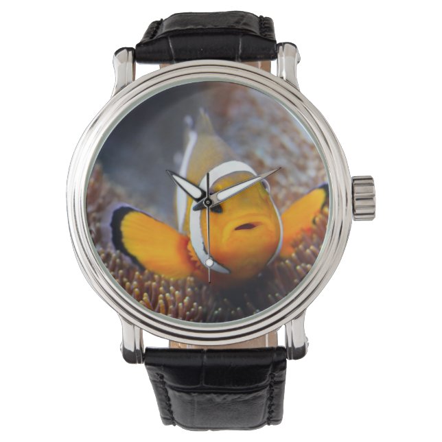 Tropischer Rifffisch - Clownfisch Armbanduhr (Vorderseite)