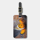 Tropischer Rifffisch - Clownfisch Gepäckanhänger (Vorderseite vertikal)