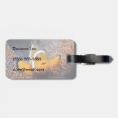 Tropischer Rifffisch - Clownfisch Gepäckanhänger (Rückseite horizontal)