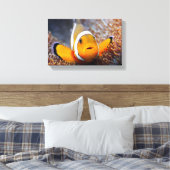 Tropischer Rifffisch - Clownfisch Leinwanddruck (Insitu (Schlafzimmer))