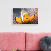 Tropischer Rifffisch - Clownfisch Leinwanddruck (Insitu (Wohnzimmer))