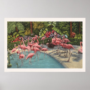 Tropischer Rosa-Flamingo-Flamboyanz-Druck Poster