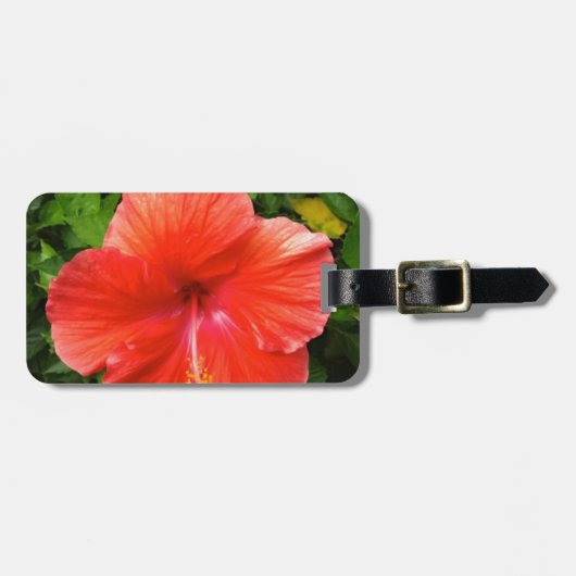 Tropischer Roter Hibiskus Bonita Springs Florida Gepäckanhänger (Vorderseite horizontal)